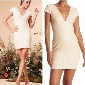 Dress The Population Zoe Sequin Dress Small